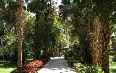 Kitchener's Island and Aswan Botanic Garden 写真