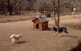 Bear Creek Off-Leash Dog Park صور