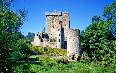 Blarney Images