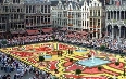 Brussels for Pleasure Images