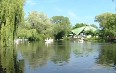 Centre Island in Toronto 图片