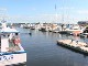 Charlottetown Harbour