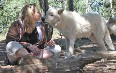 Colorado Wolf and Wildlife Center 写真