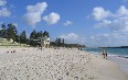 Cottesloe Beach Images