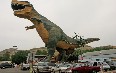 Drumheller Images