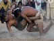 Gambian Wrestling (冈比亚)