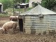 Grames Field Farm (France)