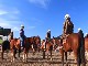 Horseback Vineyard Tours (Australia)