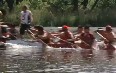  International Dragon Boat Race in Toronto 图片