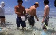 Lady Elliot Island Activities 写真