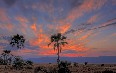 Lake Manyara National Park صور