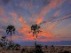 Lake Manyara National Park (坦桑尼亚)