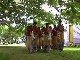 Meke Dance at Nacula (Fiji)