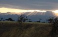 Meru National Park صور