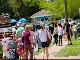 Shopping in Mount Tamborine