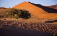 Namib Desert Images