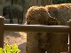 Oregon Zoo and World Forestry Center (United States)