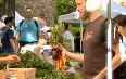 Portland Farmers Market Images