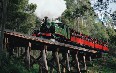 Puffing Billy railway صور