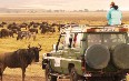 Safari in the Ngorongoro 写真