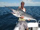 Sea Fishing on Gold Coast (Australia)