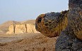 Sea Turtles of Ras al Hadd Images