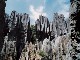 Shilin Stone Forest