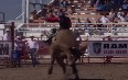 Small Town Rodeo Images