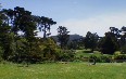 Spring in Golden Gate Park  Images