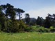 Spring in Golden Gate Park 