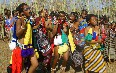 Umhlanga (Reed Dance) Images