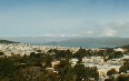 Views from De Young's Observatory Tower 写真